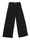Zhoe & Tobiah Pants In Multi