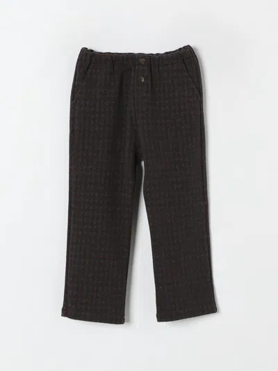 Zhoe & Tobiah Pants  Kids Color Grey In Grau