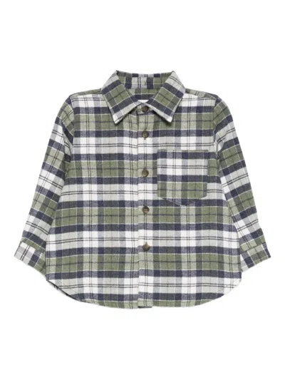 Zhoe & Tobiah Babies' Pocket Checked Top In Green
