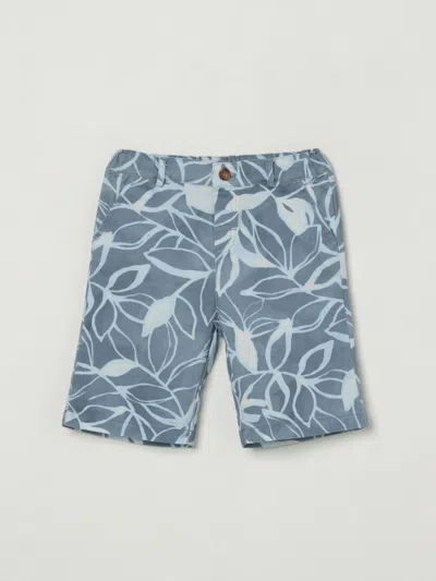 Zhoe & Tobiah Babies' Shorts  Kids Color Blue