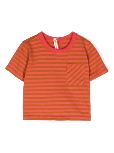 Zhoe & Tobiah Babies' Gestreiftes T-shirt In Orange