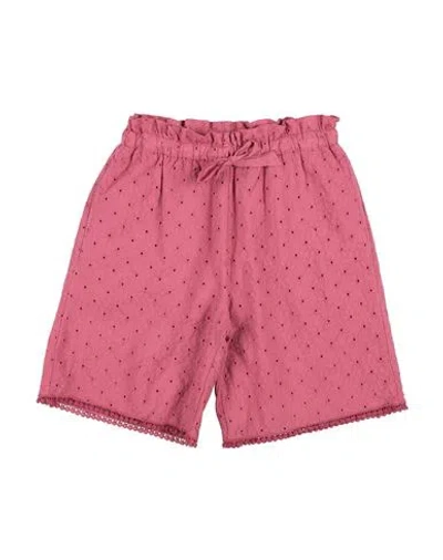 Zhoe & Tobiah Babies'  Toddler Boy Shorts & Bermuda Shorts Antique Rose Size 4 Cotton In Pink