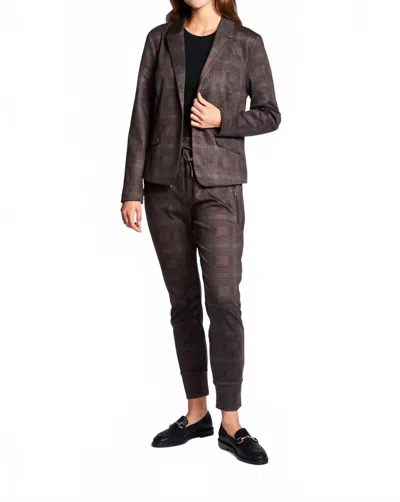 Zhrill Fabia Pants In Brown