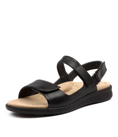 Ziera Women's Benji Sandals In Black Sole Leather