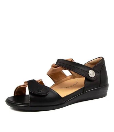 Ziera Women's Doxie W Sandals In Black/ Tan Leather