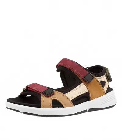 Ziera Women's Usure Sandal - Wide In Black Multi