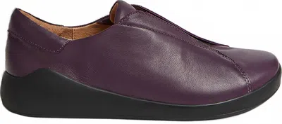 Ziera Women's Yass Xw Flat Shoes In Purple-black Leather Elastic