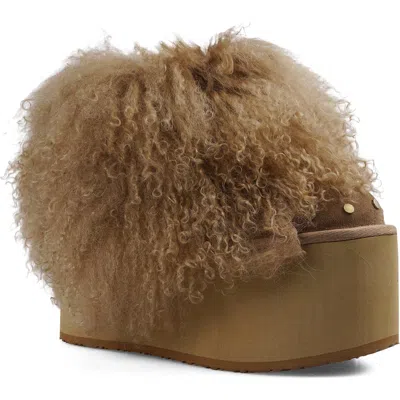Zigi Alleja Genuine Shearling Platform Bootie In Multi