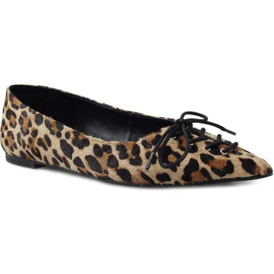 Zigi Arreza Lace-up Pointed Toe Flat In Leopard Calf Hair