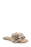 Zigi Artisan Aurra Slide Sandal In Sand