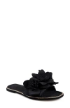 Zigi Artisan Aurra Slide Sandal In Black
