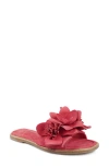 Zigi Artisan Aurra Slide Sandal In Pink