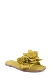 Zigi Artisan Aurra Slide Sandal In Yellow