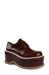 Zigi Artisan Fenni Platform Derby In Brown Leather