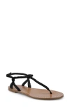 Zigi Artisan Rorie Ankle Strap Sandal In Black