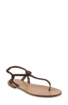 Zigi Artisan Rorie Ankle Strap Sandal In Brown