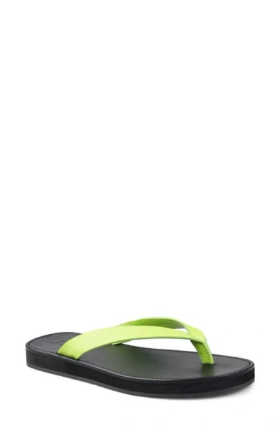 Zigi Beachtime Leather Flip Flop In Green