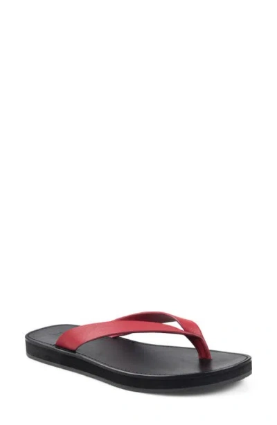 Zigi Beachtime Leather Flip Flop In Multi
