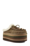 Zigi Birdy Faux Shearling Platform Slipper In Taupe Suede