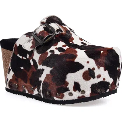 Zigi Cuna Genuine Calf Hair Platform Clog In Brown