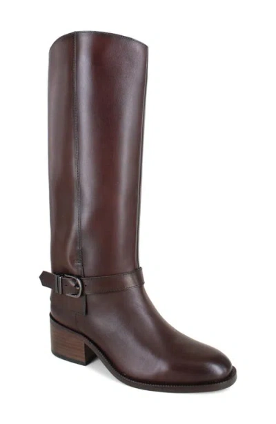 Zigi Simeon Knee High Riding Boot In Brown