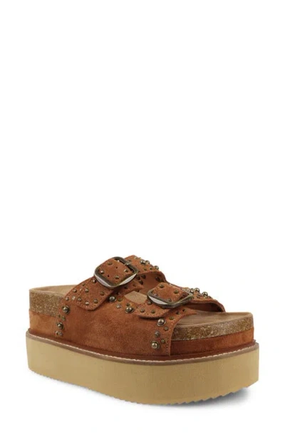 Zigi Studded Platform Sandal In Brown