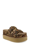 Zigi Studded Platform Sandal In Brown