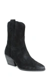 Zigi Western Boot In Black