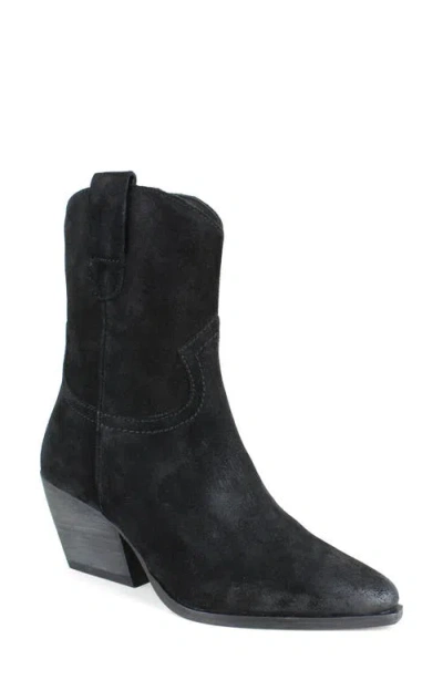 Zigi Western Boot In Black