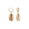Zigleys Women's Cowrie Gold Earrings In Gold