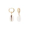Zigleys Women's Gold Cowrie Shell Earrings In Gold