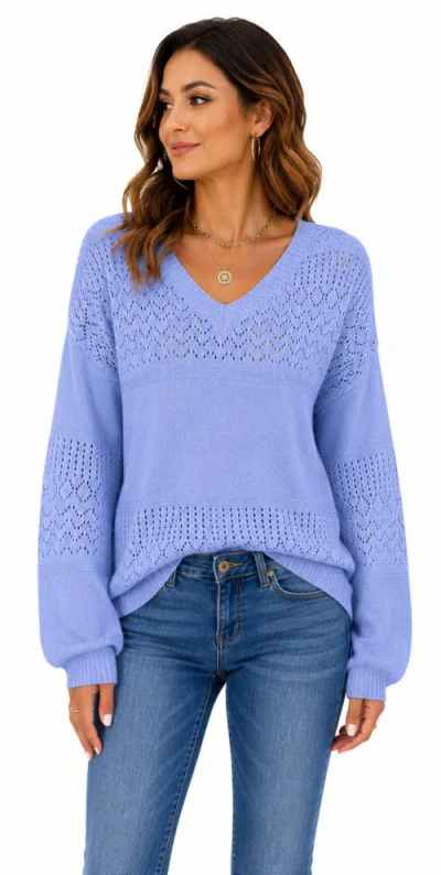 Zilpu Pointelle Knit V-neck Sweater In Blue