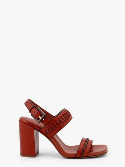 Zimmermann Alchemy 85 Leather Sandals In Brown