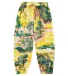 Zimmermann Alight Printed Cotton Pants In Multicoloured