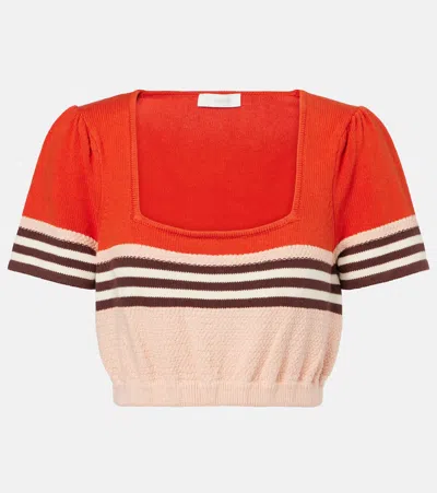 Zimmermann Ascension Knitted Cotton-blend Top In Multi