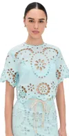 Zimmermann Awaken Embroidered Bodice Top In Mint In Animal Print