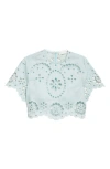 Zimmermann Awaken Embroidered Linen Crop Top In Green
