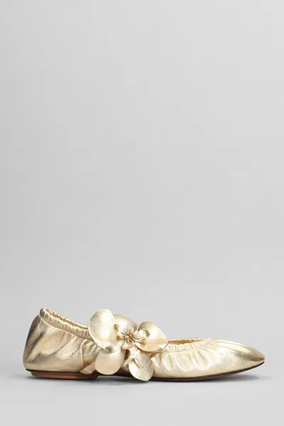 Zimmermann Ballet Flats In Gold Leather In Golden