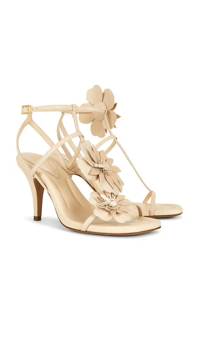 Zimmermann Belara Sandal 85 In Cream
