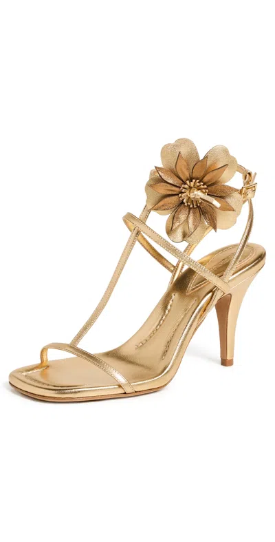 Zimmermann Zimmerman Women's Belara 85 Embellished Sandals In Gold
