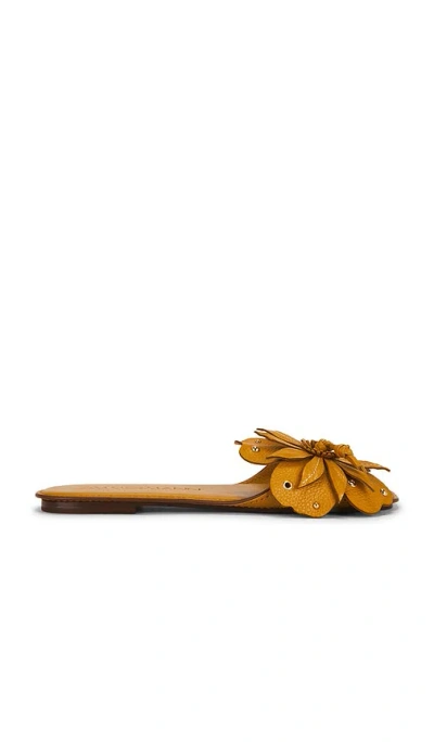 Zimmermann Brightside Slide In Brown