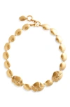 Zimmermann Byron Chain Necklace In Brown
