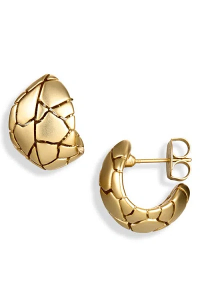 Zimmermann Byron Hoop Earrings In Gold