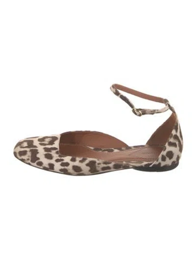 Pre-owned Zimmermann Canvas Animal Print Ballet Flats In Brown