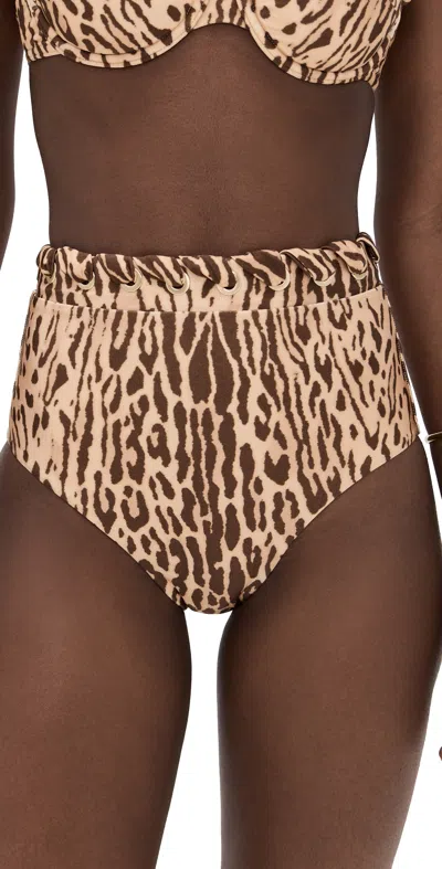 Zimmermann Cascadian High Waist Bikini Bottoms Tan Leopard
