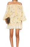 Zimmermann Cascadian Off-the-shoulder Lace-trimmed Printed Cotton-voile Mini Dress In Multi