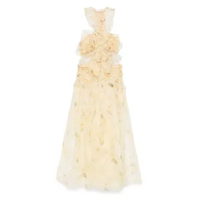 Zimmermann Dresses