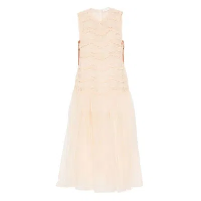 Zimmermann Dresses In Neutral