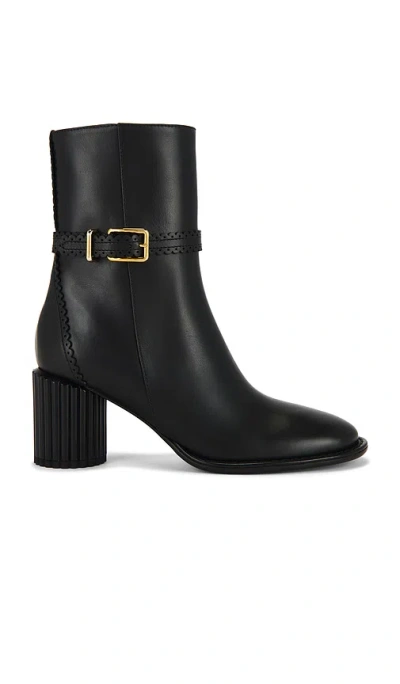 Zimmermann Eddie Low Boot In Black