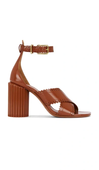 ZIMMERMANN EDDIE SANDAL
